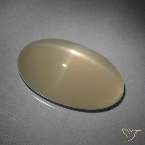 10.15ct 天然 淡棕色 星月石, 椭圆形, 半透明