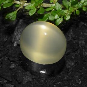 11.57克拉天然星月石，椭圆形切割，半透明