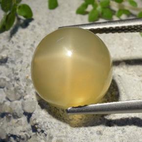 7.32克拉天然星月石，圆形切割，半透明