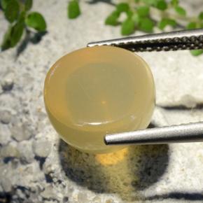 7.32克拉天然星月石，圆形切割，半透明