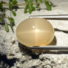 7.68克拉天然黄色星光月光石，椭圆形切割，13.2×10.1毫米，半透明