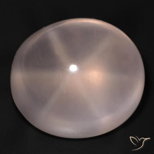 48.94ct 天然 中粉红色 星玫瑰石英, 椭圆形, 透明