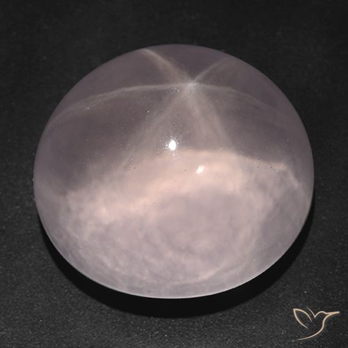 73.83ct 天然 珊瑚粉 星玫瑰石英, 椭圆形, 透明