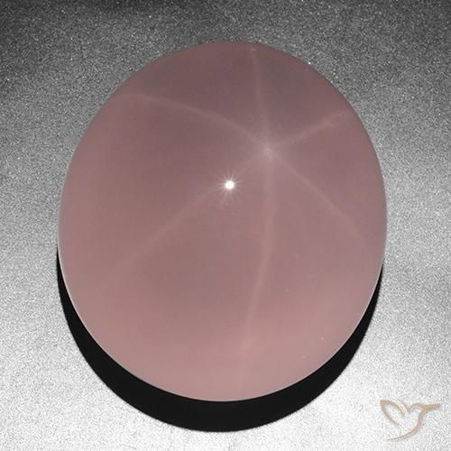263.05ct 天然 玫瑰粉色 星玫瑰石英, 椭圆形, 半透明