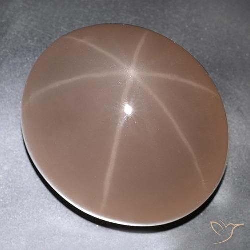 529.63ct 天然 瓢虫红 星玫瑰石英, 椭圆形, 半透明