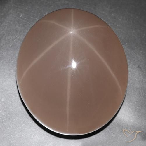 529.63克拉天然星玫瑰石英，椭圆形，半透明