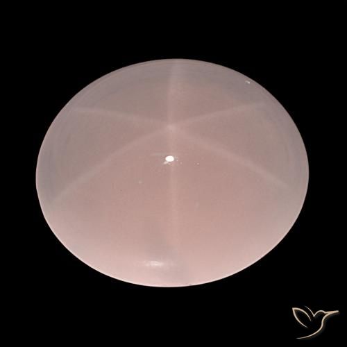 61.91ct 天然 浅粉色 星玫瑰石英, 椭圆形, 半透明