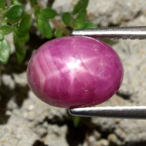 4.79克拉天然红色星光红宝石，椭圆形切割，10×7.7毫米，不透明