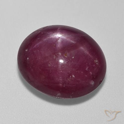 13.67ct 天然 暗红色 星光红宝石, 椭圆形, 不透明