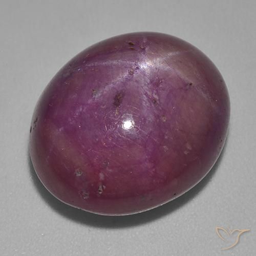 22.94ct 天然 酒红色 星光红宝石, 椭圆形, 不透明