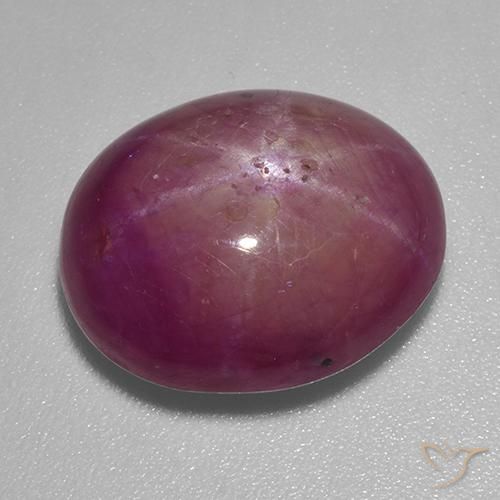 12.28ct 天然 中紫色 星光红宝石, 椭圆形, 不透明