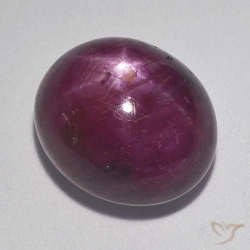 13.37ct 天然 树莓红色 星光红宝石, 椭圆形, 不透明