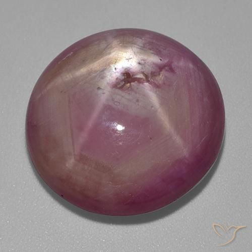 31.80ct 天然 中浅紫色 星光红宝石, 椭圆形, 不透明