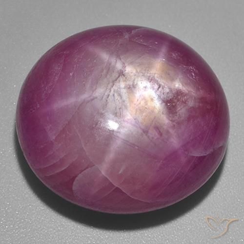 53.60ct 天然 中深紫色 星光红宝石, 椭圆形, 不透明