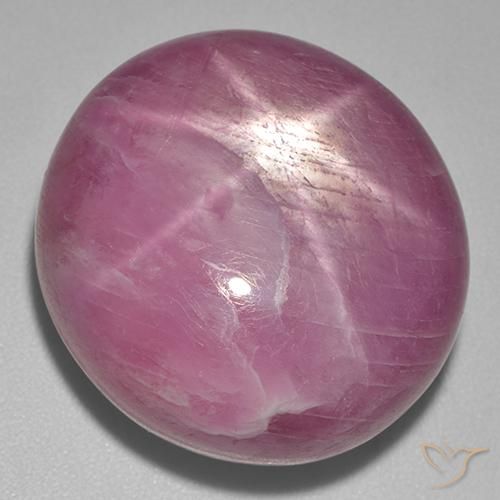 56.00ct 天然 Medium Dark-Purple 星光红宝石, 椭圆形, 不透明
