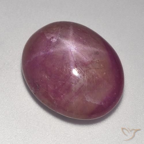 15.00ct 天然 中深紫色 星光红宝石, 椭圆形, 不透明