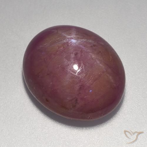 14.20ct 天然 灰洋红色 星光红宝石, 椭圆形, 不透明