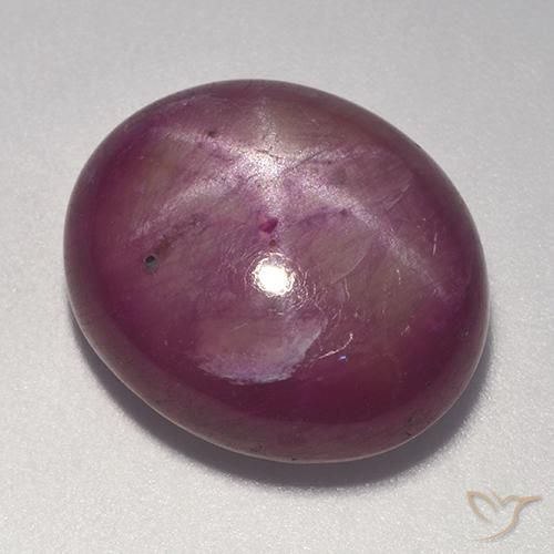 20.08ct 天然 梅紫色 星光红宝石, 椭圆形, 不透明