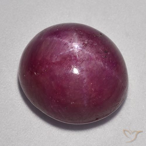 16.58ct 天然 树莓红色 星光红宝石, 椭圆形, 不透明