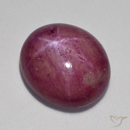12.64ct 天然 梅紫色 星光红宝石, 椭圆形, 不透明