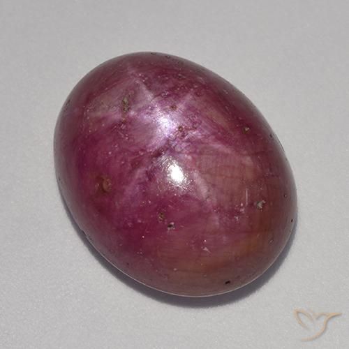 14.18ct 天然 红紫色 星光红宝石, 椭圆形, 不透明