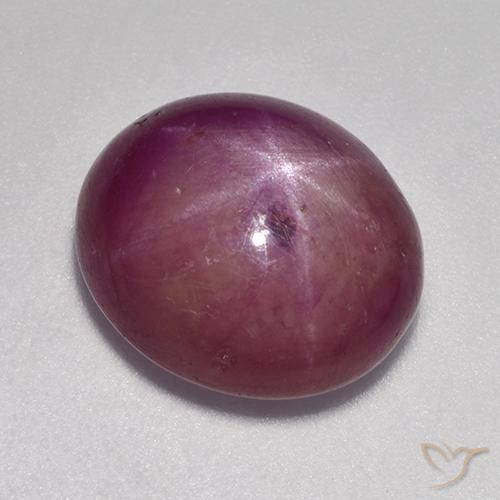 9.23ct 天然 红紫色 星光红宝石, 椭圆形, 不透明
