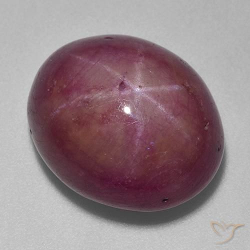 18.74ct 天然 中深紫色 星光红宝石, 椭圆形, 不透明