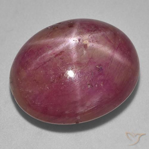 23.05ct 天然 红紫色 星光红宝石, 椭圆形, 不透明
