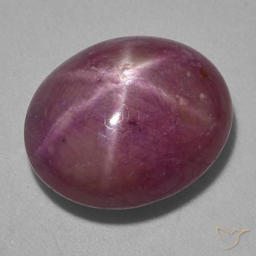 13.87ct 天然 中深紫色 星光红宝石, 椭圆形, 不透明