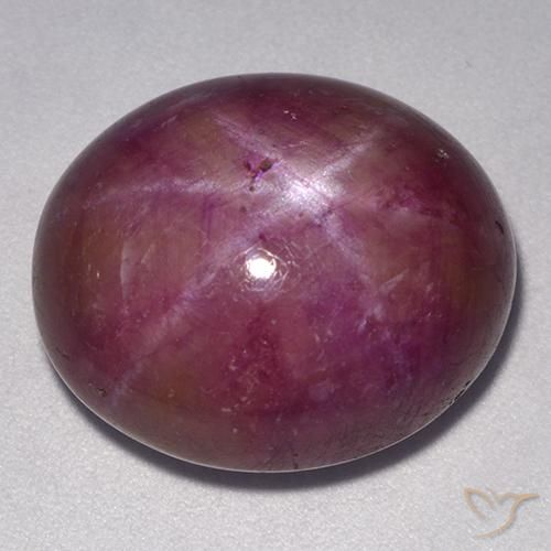 24.55ct 天然 红紫色 星光红宝石, 椭圆形, 不透明