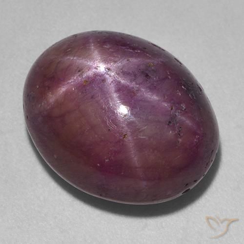 18.38ct 天然 中深紫色 星光红宝石, 椭圆形, 不透明