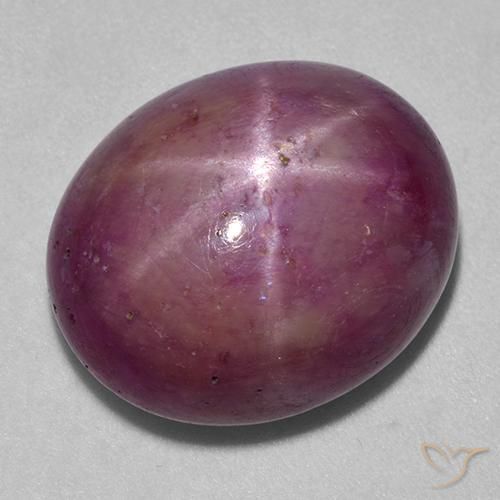 25.16ct 天然 灰洋红色 星光红宝石, 椭圆形, 不透明