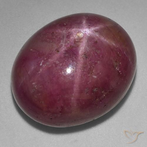 25.89ct 天然 梅紫色 星光红宝石, 椭圆形, 不透明