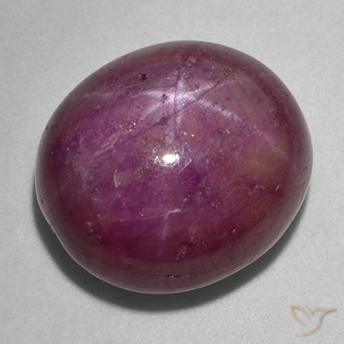 24.49ct 天然 中深紫色 星光红宝石, 椭圆形, 不透明