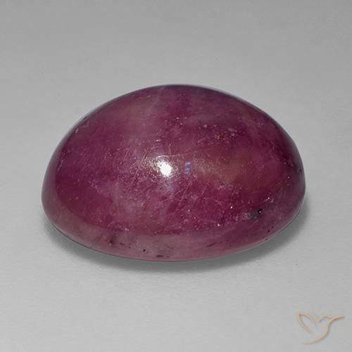15.62克拉天然星光红宝石，椭圆形，不透明