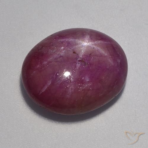 12.90ct 天然 中深紫色 星光红宝石, 椭圆形, 不透明