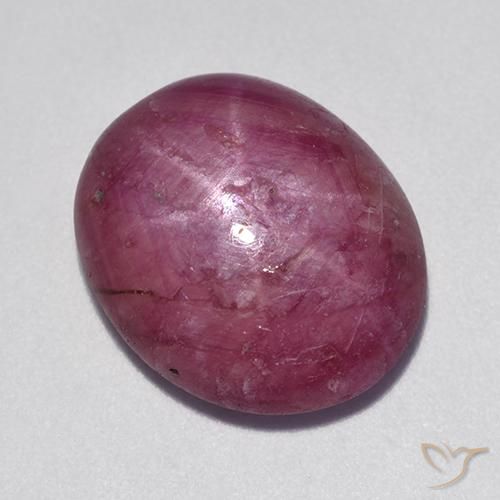 11.80ct 天然 品红色-粉红色 星光红宝石, 椭圆形, 不透明