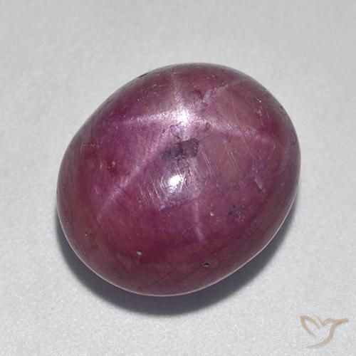 12.08ct 天然 中深紫色 星光红宝石, 椭圆形, 不透明