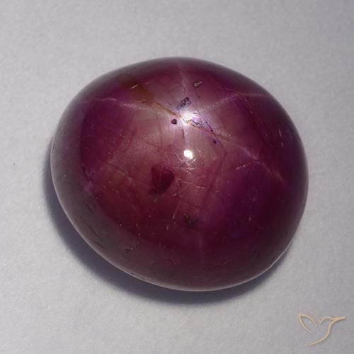 11.47ct 天然 树莓红色 星光红宝石, 椭圆形, 不透明