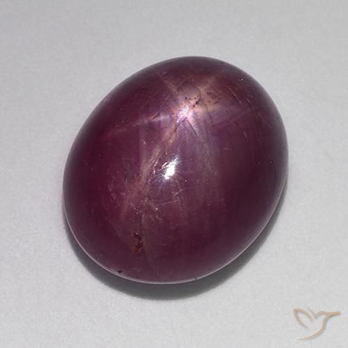 13.18ct 天然 红紫色 星光红宝石, 椭圆形, 不透明