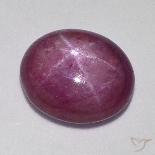 9.50ct 天然 中深紫色 星光红宝石, 椭圆形, 不透明