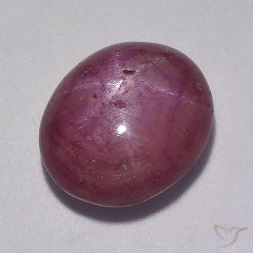 10.31ct 天然 红紫色 星光红宝石, 椭圆形, 不透明