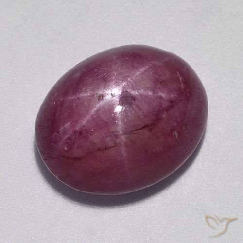 10.57ct 天然 中深紫色 星光红宝石, 椭圆形, 不透明