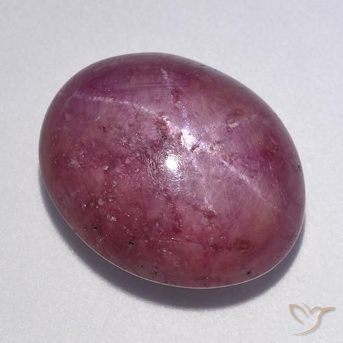 12.56ct 天然 中深紫色 星光红宝石, 椭圆形, 不透明