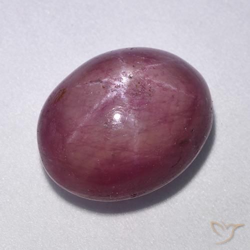 11.40ct 天然 中紫色 星光红宝石, 椭圆形, 不透明