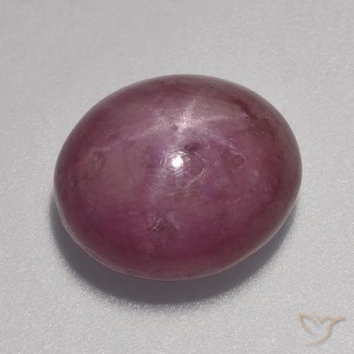 9.23ct 天然 中红 星光红宝石, 椭圆形, 不透明