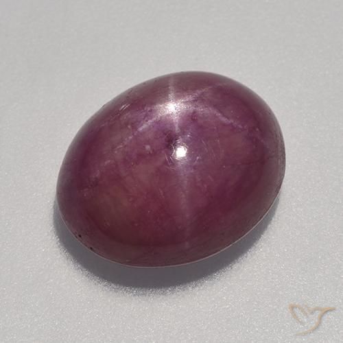 9.04ct 天然 树莓红色 星光红宝石, 椭圆形, 不透明