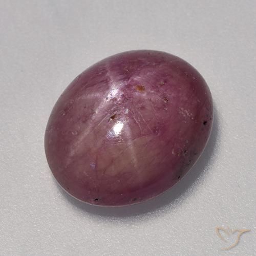 7.06ct 天然 树莓红色 星光红宝石, 椭圆形, 不透明