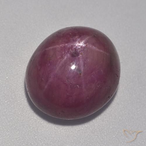 10.98ct 天然 梅紫色 星光红宝石, 椭圆形, 不透明