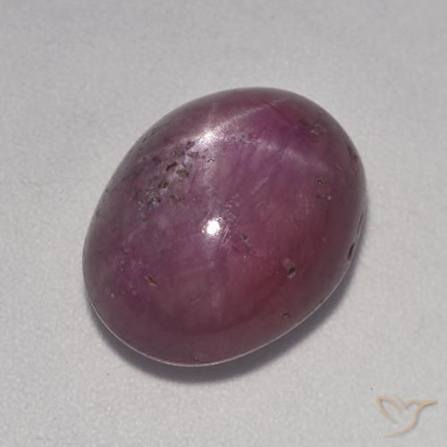 9.38ct 天然 红紫色 星光红宝石, 椭圆形, 不透明